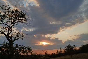 IMG20230617203528